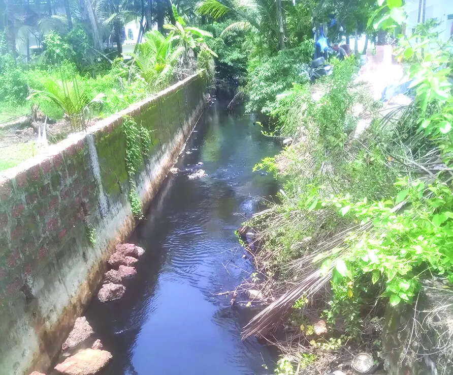 Toxic waste fouls water bodies at Agasaim, but fish mortality not assessed by officials