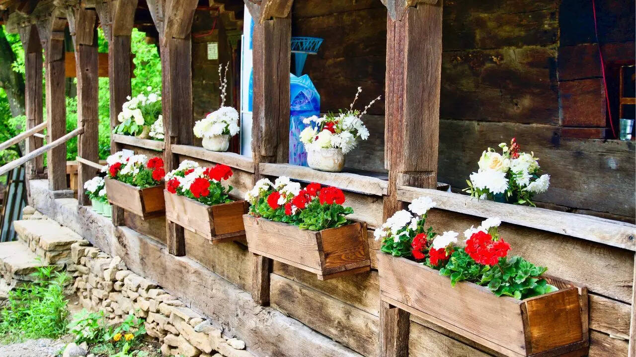 10 creative planter ideas to add a unique touch to your garden