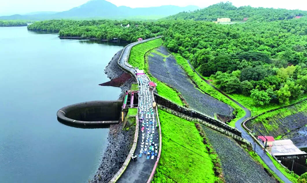 Goa joins world in Yoga Day celebration