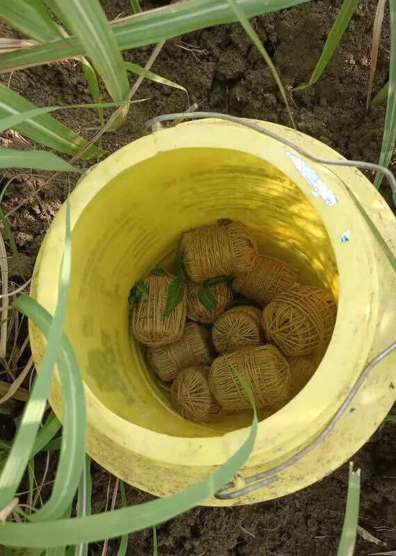 Crude bomb kills 2 in Birbhum village, locals blame turf war