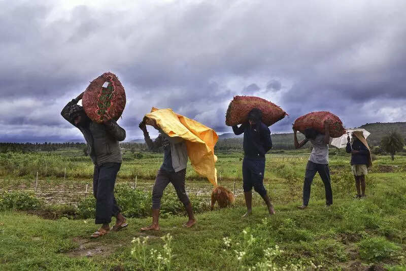 Monsoon slow in south interior districts, batters coast, Malnad