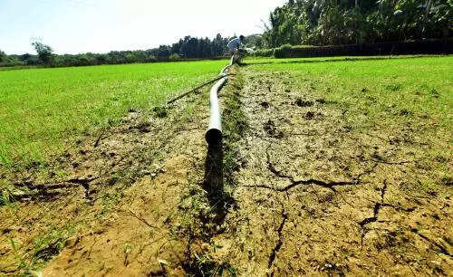 Kerala Startup Mission signs agreement to support agri tech startups and farmers