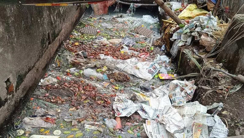 ‘Fever survey in Dum Dum dengue death zone reveals no fresh case’