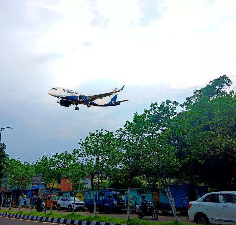 After bird hit, airport authorities plan checks on nearby slaughterhouses