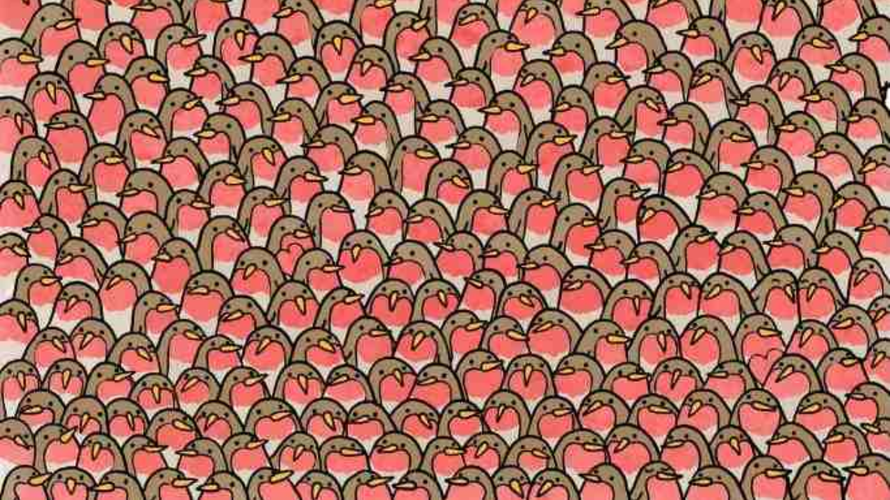 Optical illusion 1