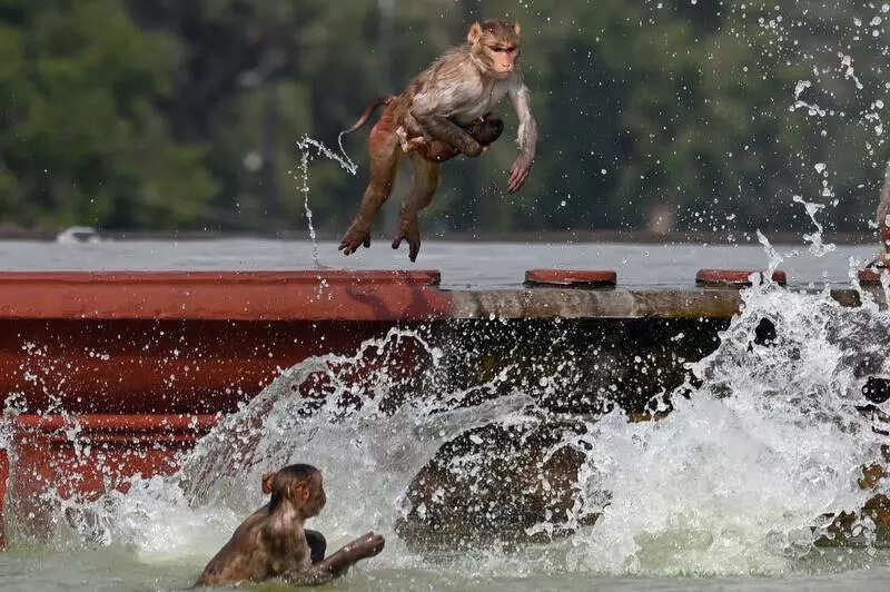 Not early enough: Met now predicts monsoon touchdown in 36 hours