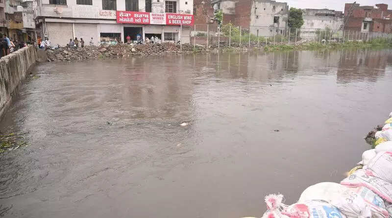 MC asks dairy owners to install screens to curb cow dung discharge into ETP