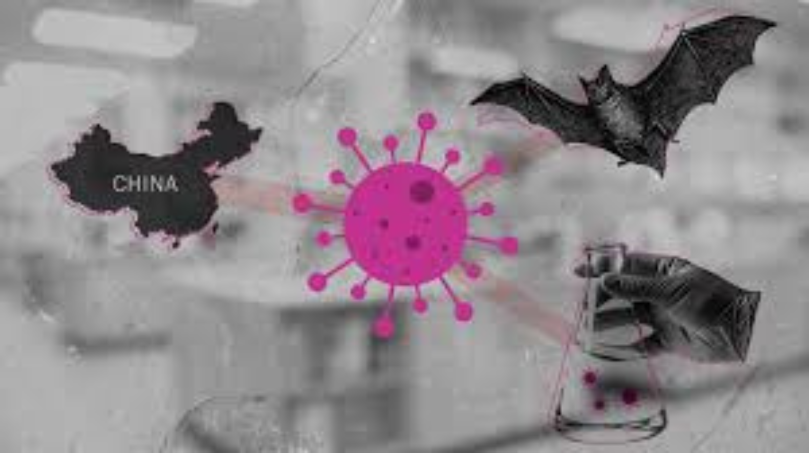 Bat Viruses In China