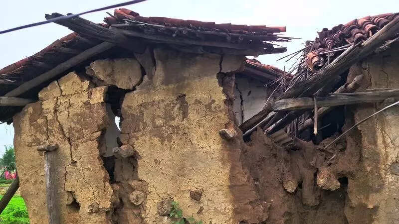 Woman dies in wall collapse