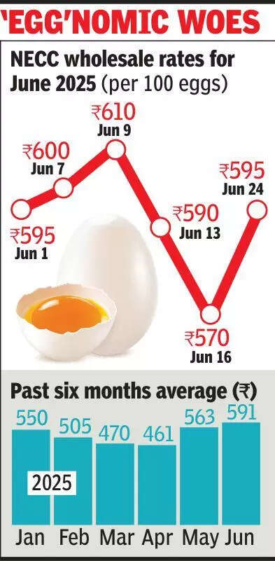Egg prices rise to 90 per dozen as traders blame summer heat and rain disruption