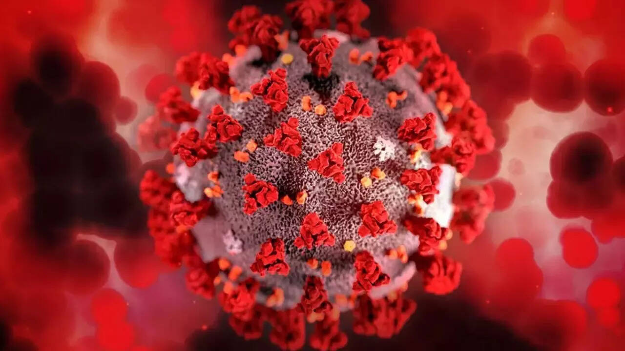 Bat viruses (4)