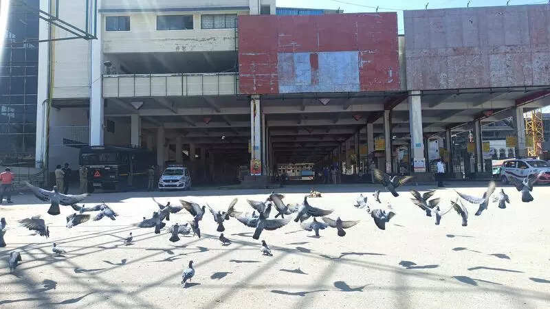 3 vehicles parked in Shivajinagar parking lot set on fire, search on for schoolboy