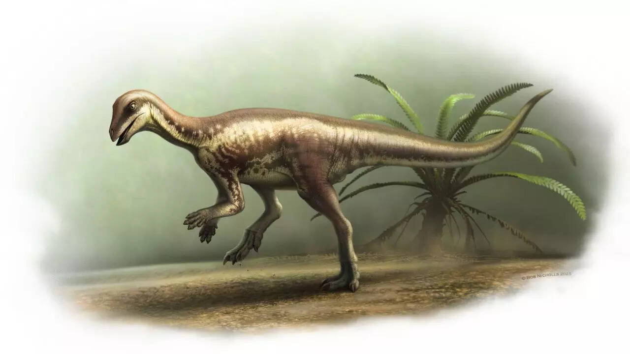 Dog-sized dinosaur fossil that roamed among giants, discovered by scientists