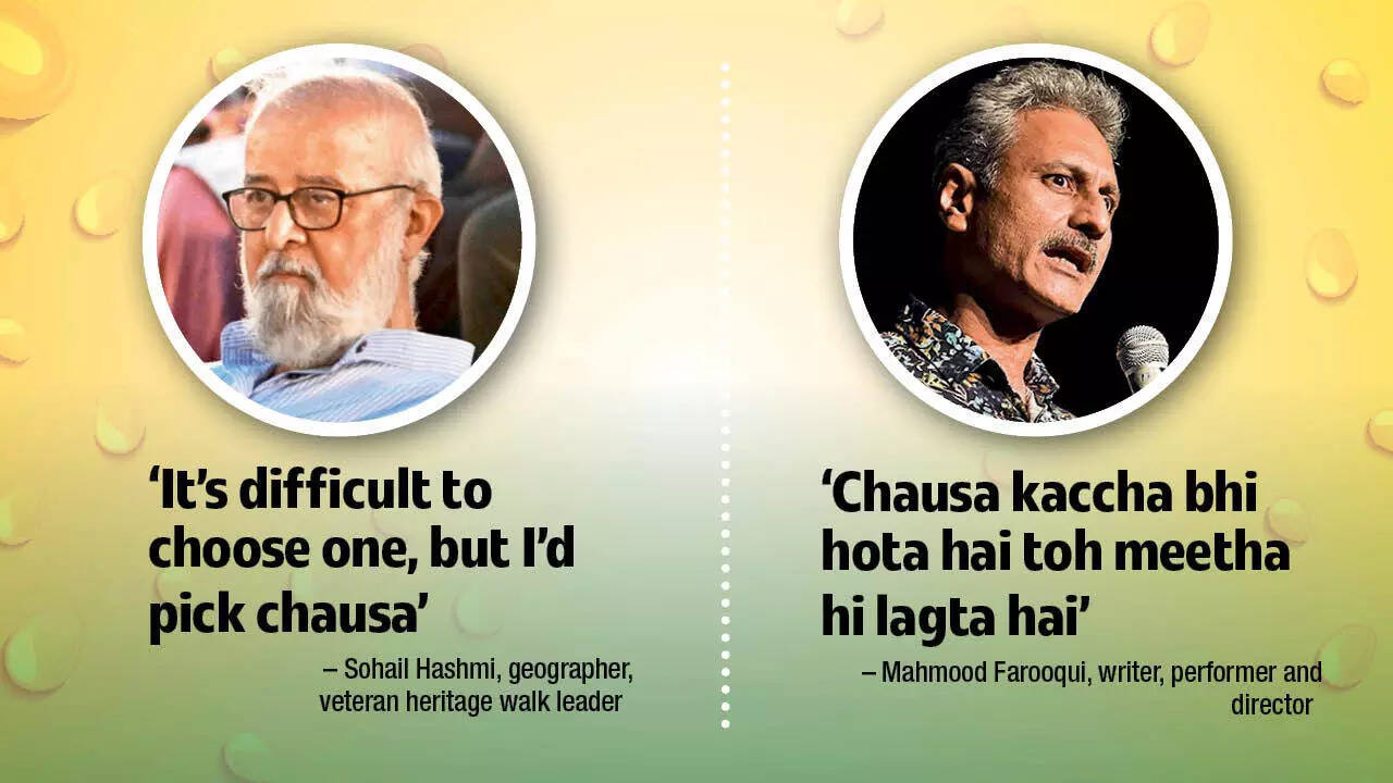 Sohail Hashmi and Mahmood Farooqui prefer chausa