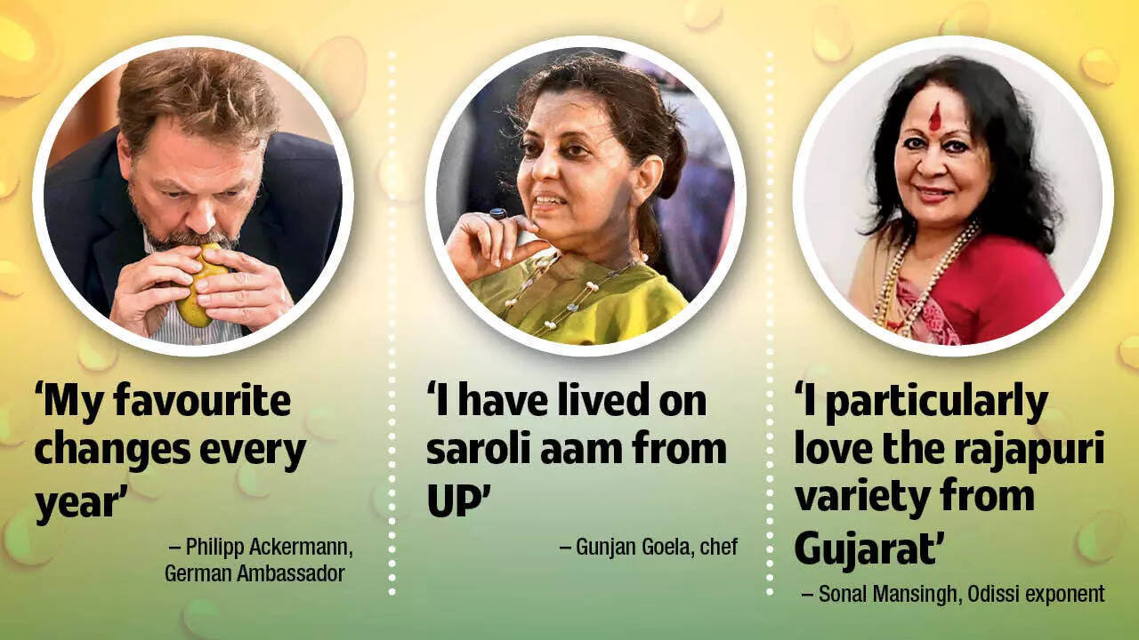 While the German Ambassador's fave mango changes every year, Chef Goela and Sonal Mansingh crave for the mangoes they grew up eating