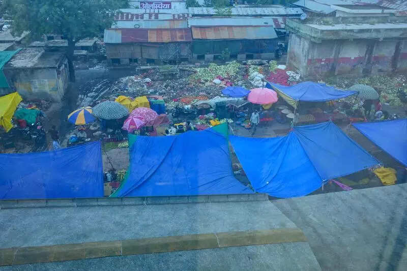 msid 122119298,imgsize 52838 https://jaipur.visitinrajasthan.com/wp-content/uploads/2023/10/cropped-cropped-R-2.png