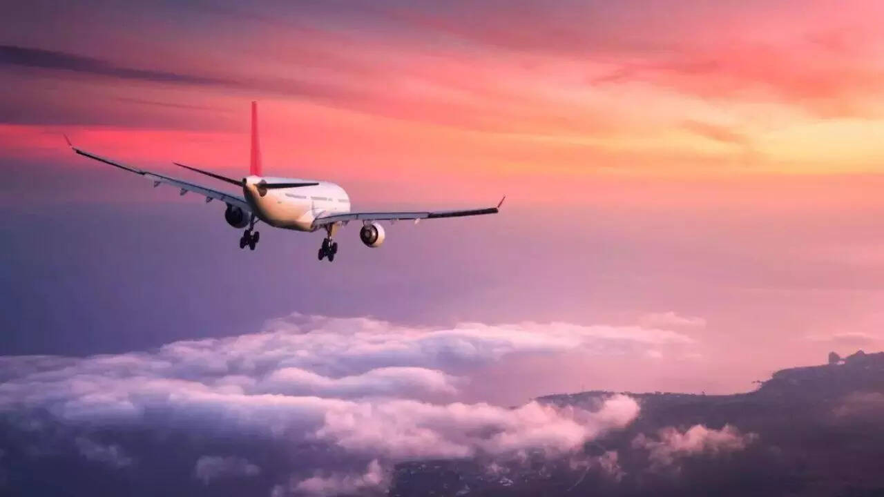 Mid-air spat: Husband-wife tiff turns ugly on Delhi-bound flight; man handed over to security