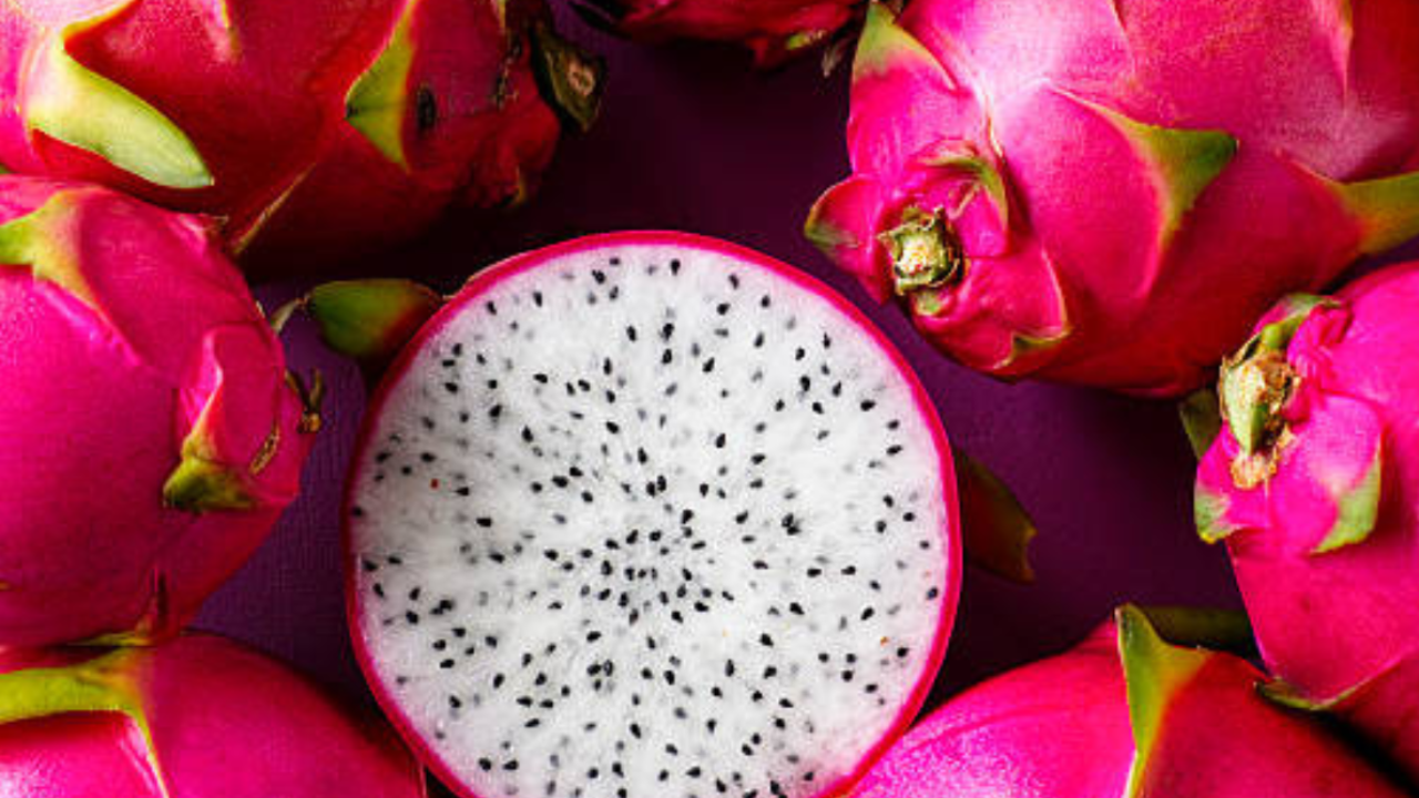 Blossoming hub of dragon fruit cultivation: Mirzapur leads UP’s 260-hectare expansion; govt plans support centre