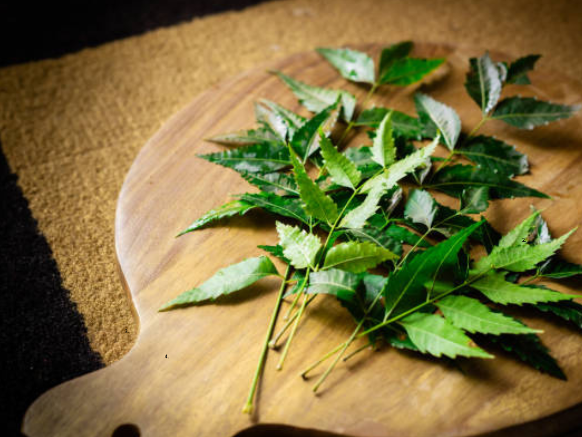 Why neem is the skincare hero you didn’t know you needed