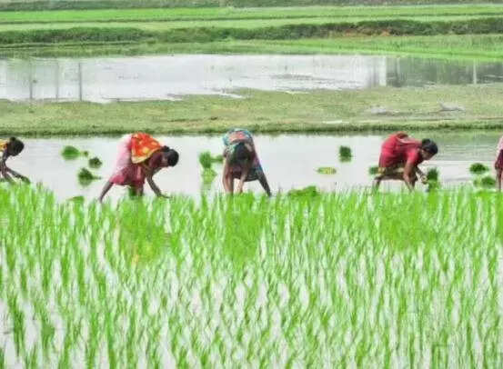 Sahu Nyaya Yatra to help farmers; 800 villages, 2,400 km to be covered in Telangana by October 2