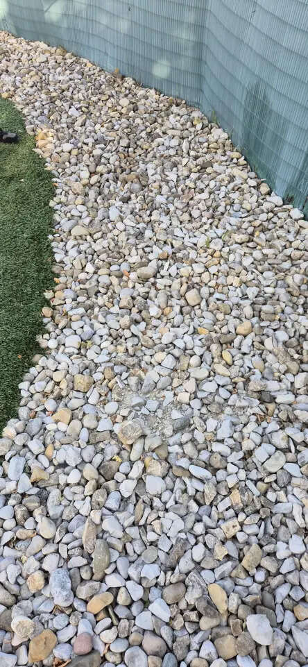 find-golf-ball-hiding-among-1006621162.