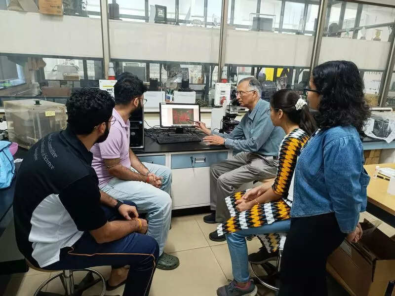 Indian Institute of Science team creates glowing sensor for liver cancer detection