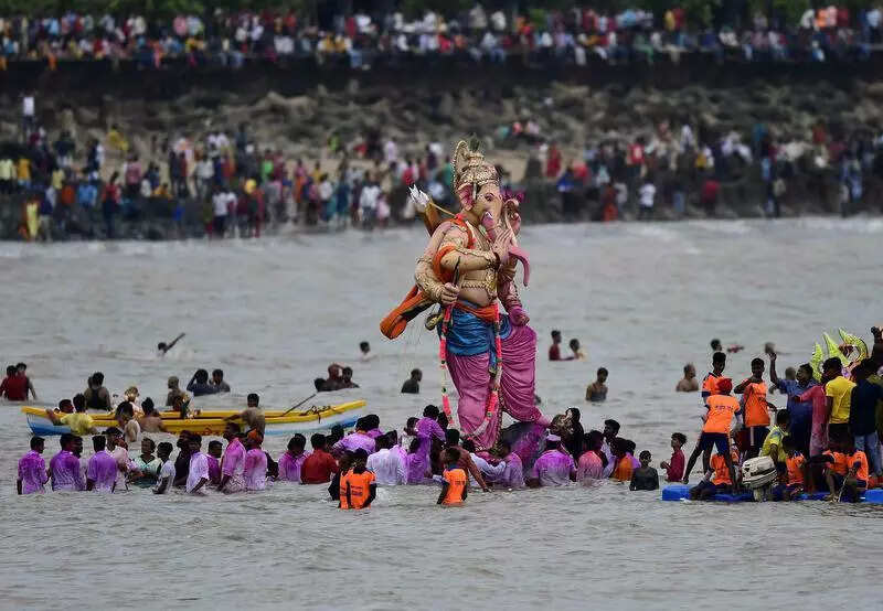 Govt cites Kakodkar’s PoP report, he says it’s harmful