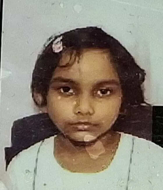 Salt Lake girl falls to death, parents cry foul