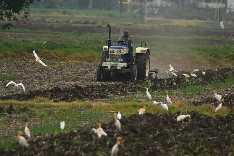 Incessant & excessive rain hampers kharif crop sowing in Gumla