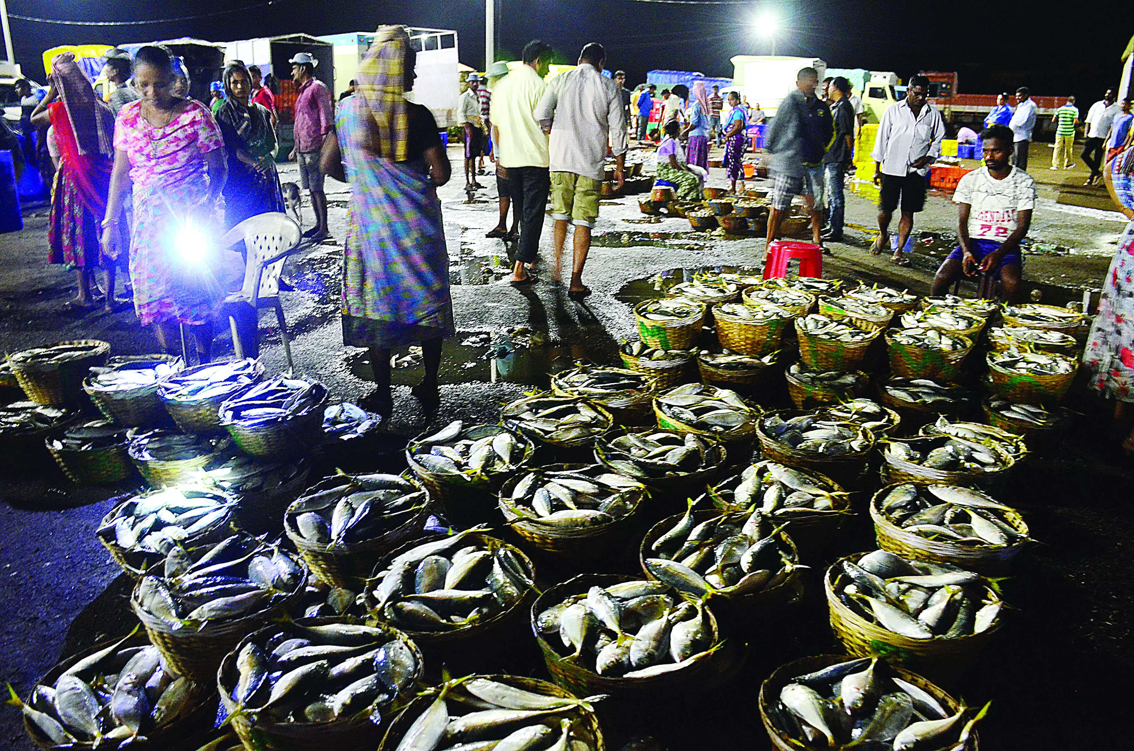 No formalin in fish samples since 2019: Rane