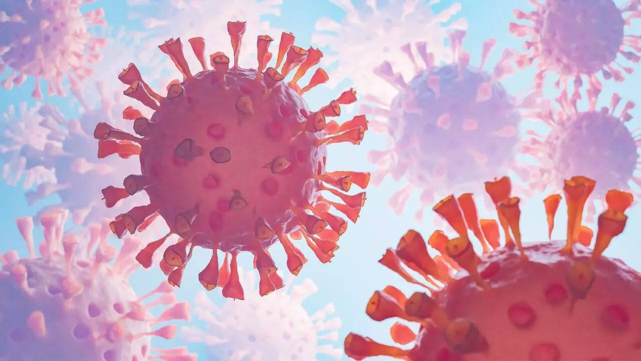 H5N1 bird flu1