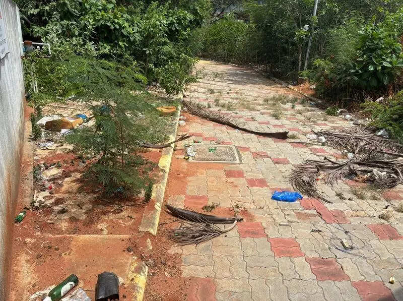 Miyawaki forest trail along B Canal locked & littered