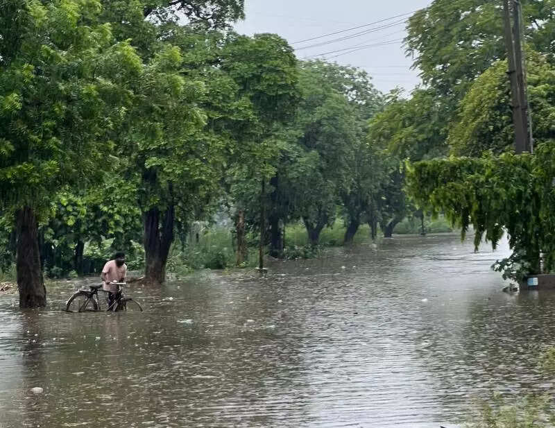 Rainy season brings more woes for industries: Waterlogging, choked sewers cripple Focal Points