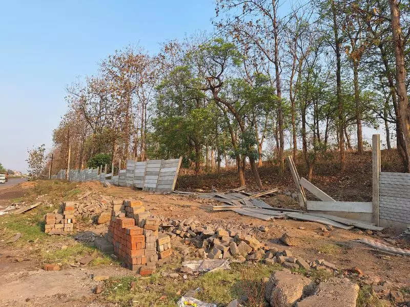 NGT notice over ‘illegal’ Sundargarh forest land transfer