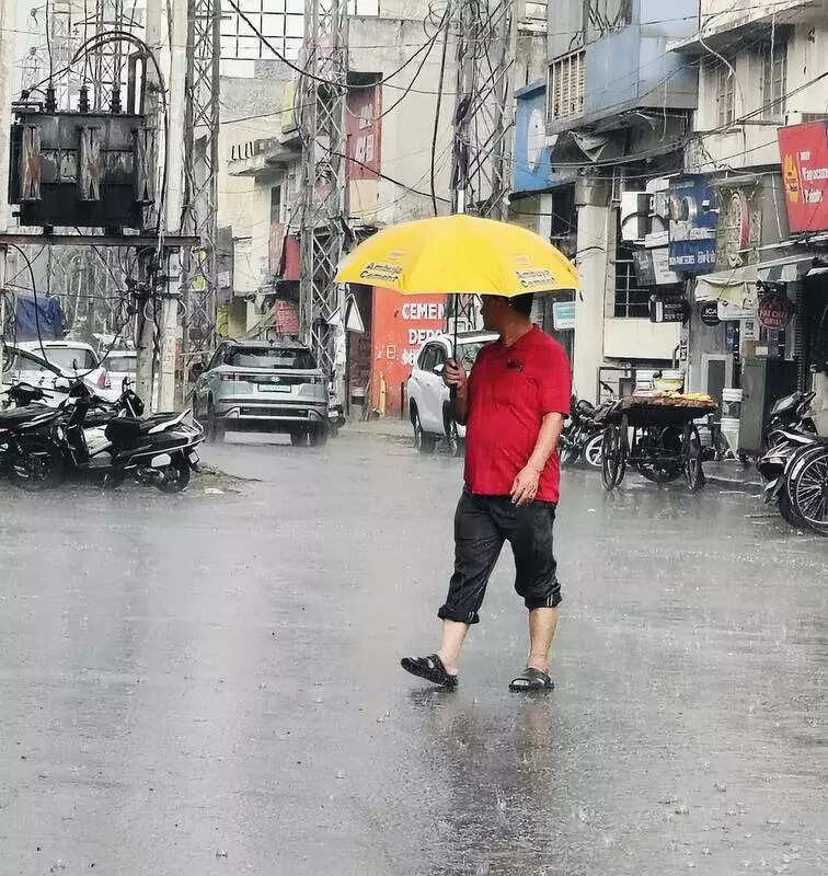 Stay safe, avoid eating out in monsoon: Ludhiana civil surgeon urge residents