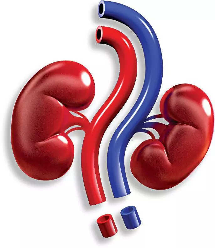 741 patients died during clinical trials for stem cell therapy at IKDRC, alleges Gujarat Congress