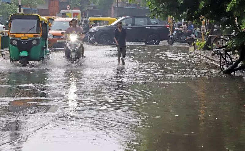 Four talukas of Gujarat receive over 1,000mm rain on July 3