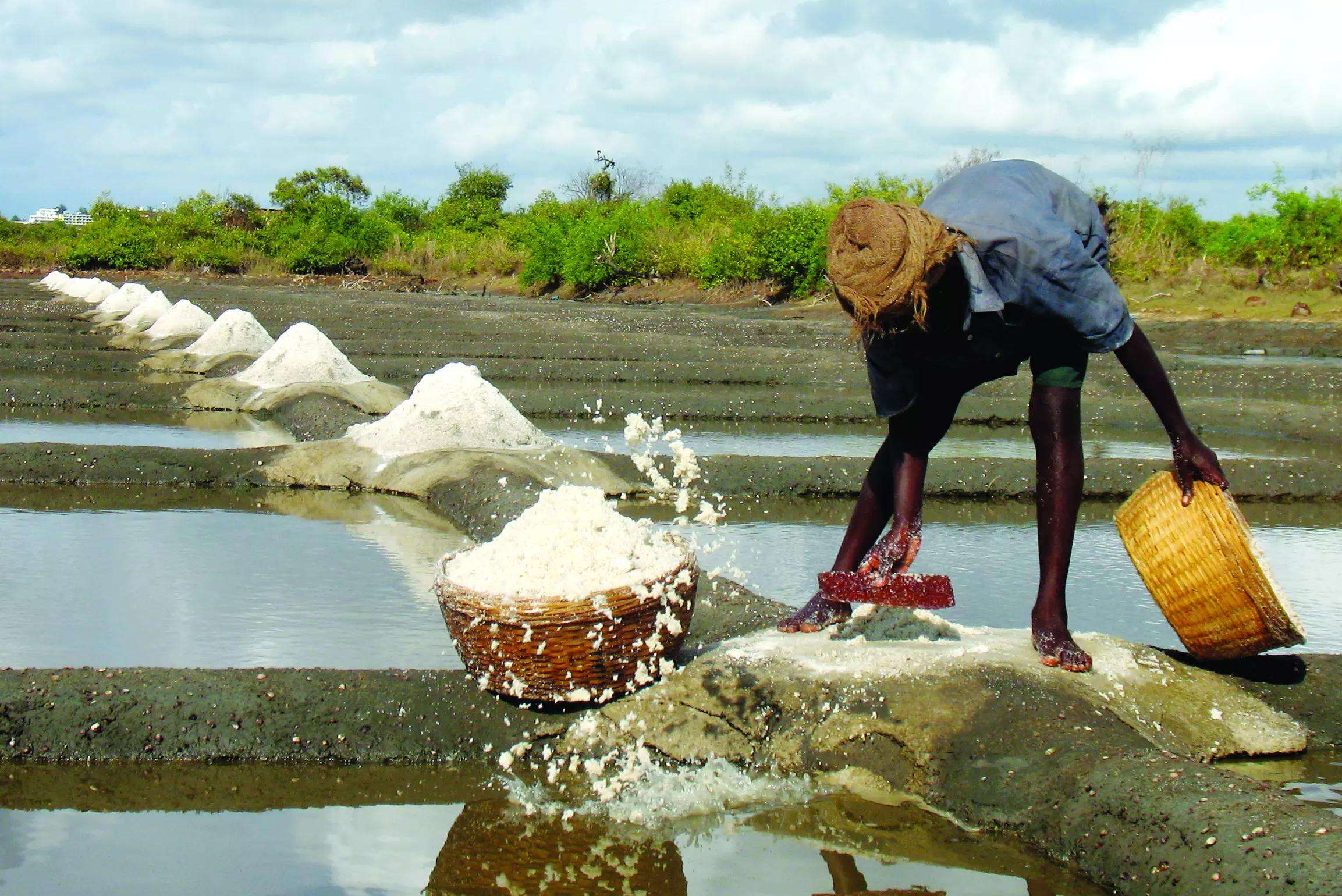 Land-filling destroys khazan at Velim, salt pan in Panaji