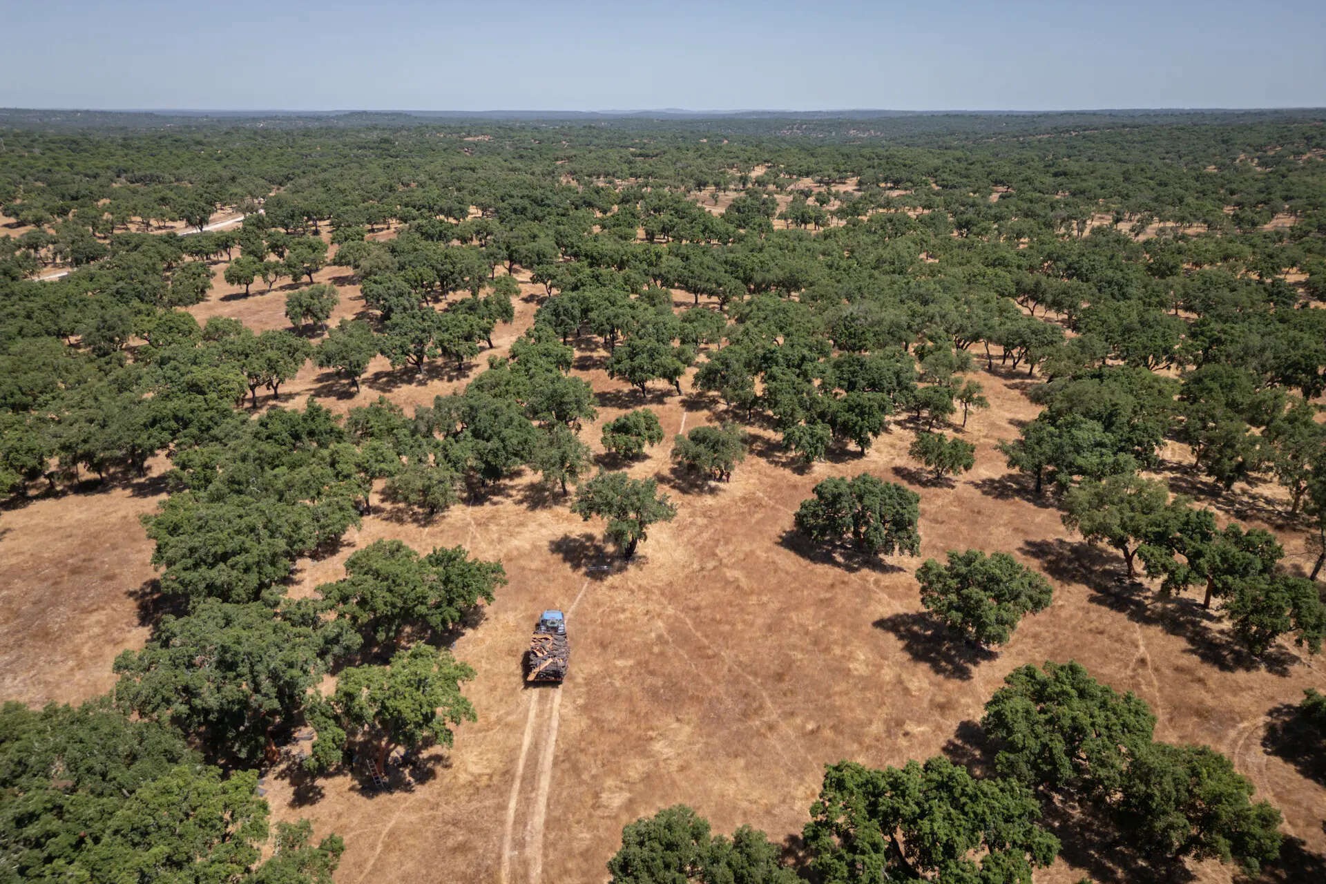 TCP dept to digitise Regional Plan in 6-8 months