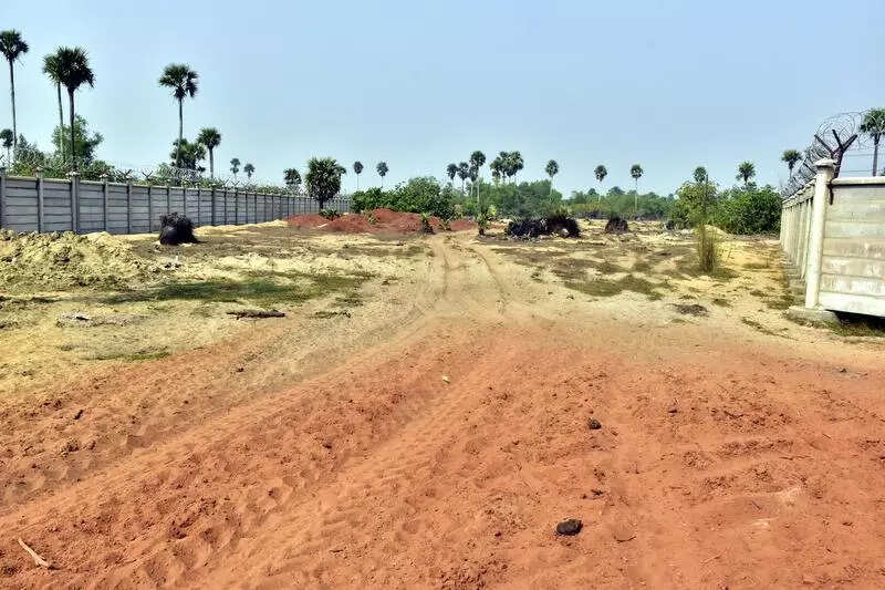 Forest advisory panel puts Puri airport project on hold pending wildlife impact study