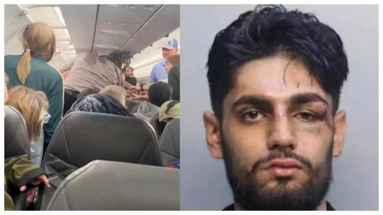 ‘He was doing some ha ha ha ha dark laugh’: Passenger on what led to viral fight with Indian-origin Ishaan Sharma