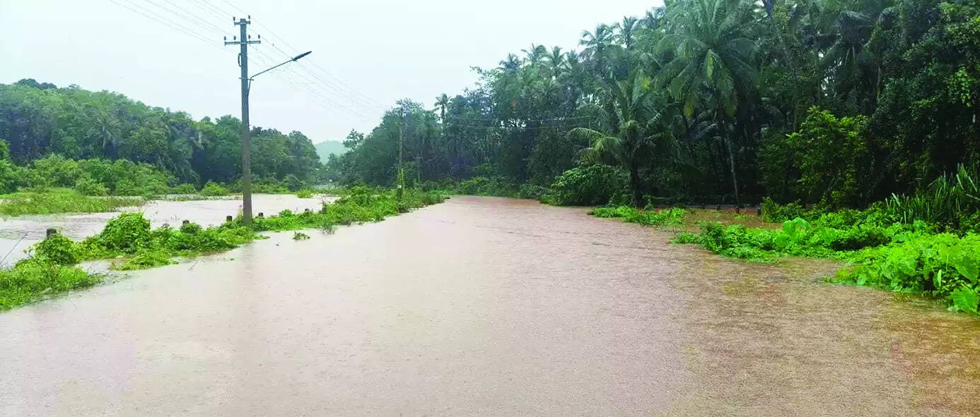 Experts want study to stop Paroda flooding, Don Bosco’s 2015 paper resurfaces