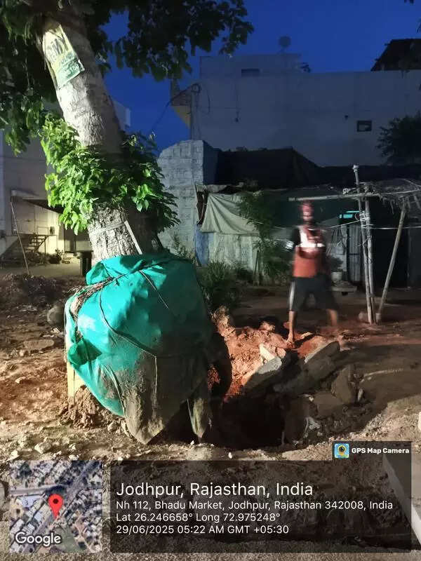 msid 122256782,imgsize 72378 https://jaipur.visitinrajasthan.com/wp-content/uploads/2023/10/cropped-cropped-R-2.png