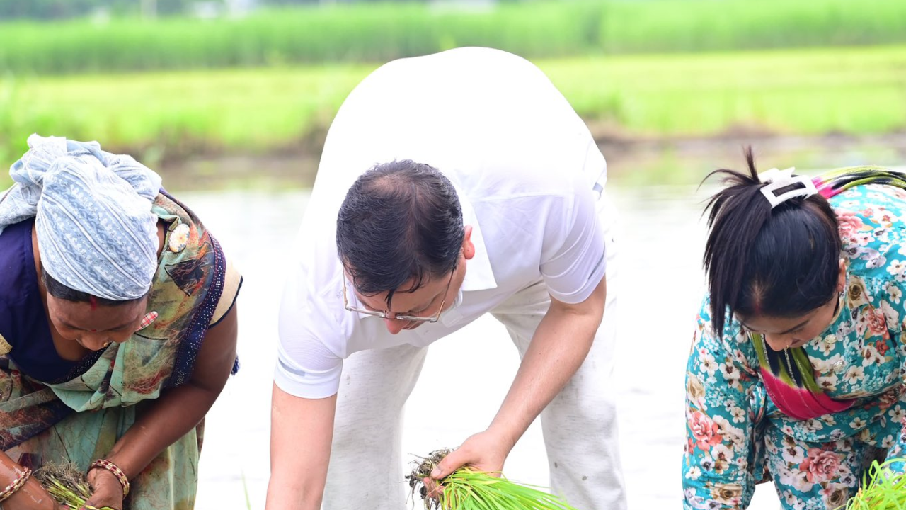 Millet push, kiwi boost, dragon fruit drive: Uttarakhand’s Dhami government  reflects on 4 years of farm and horticulture reforms