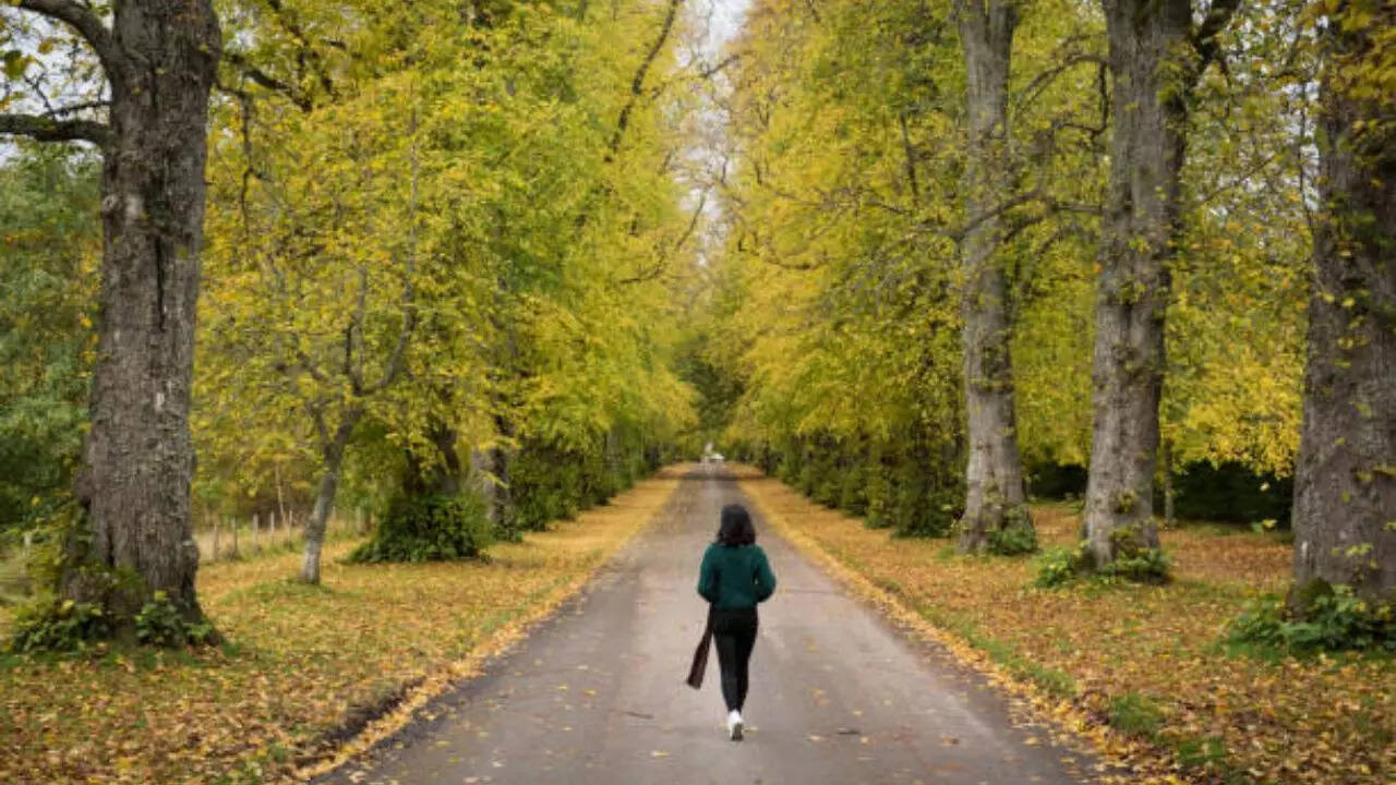 Benefits of nature walks