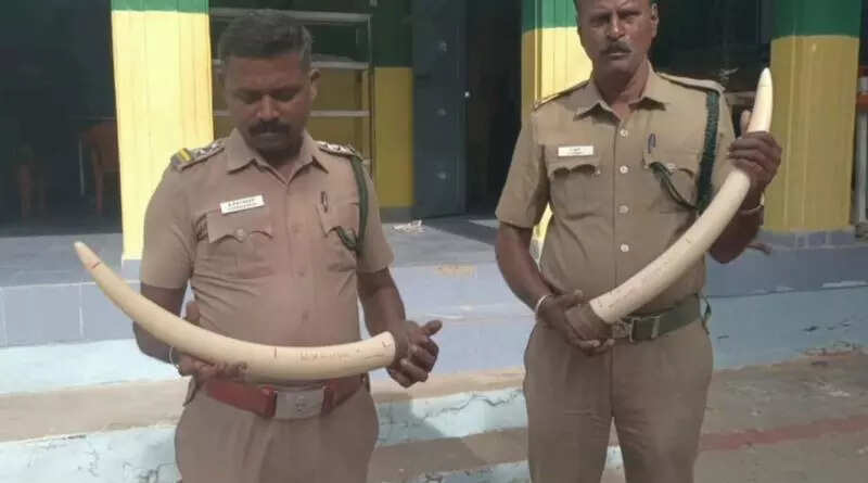 8 held while trying to sell tusks brought from Nigeria