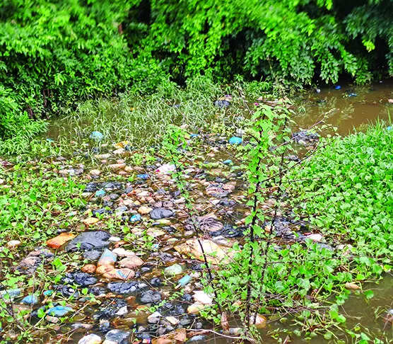 Multiple sources continue to add to Sal’s pollution