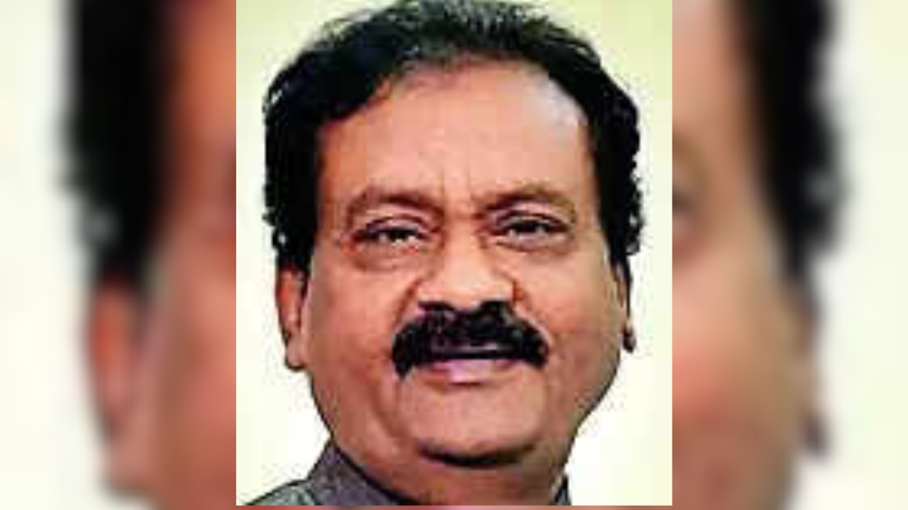 Telangana govt arranges elephants for Muharram