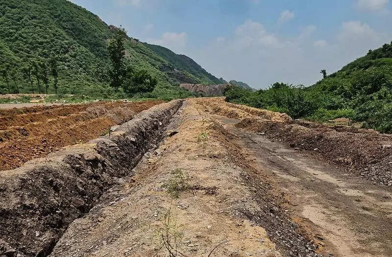 Green barricades: Illegal mining roads blocked in Nuh with 7,500 saplings