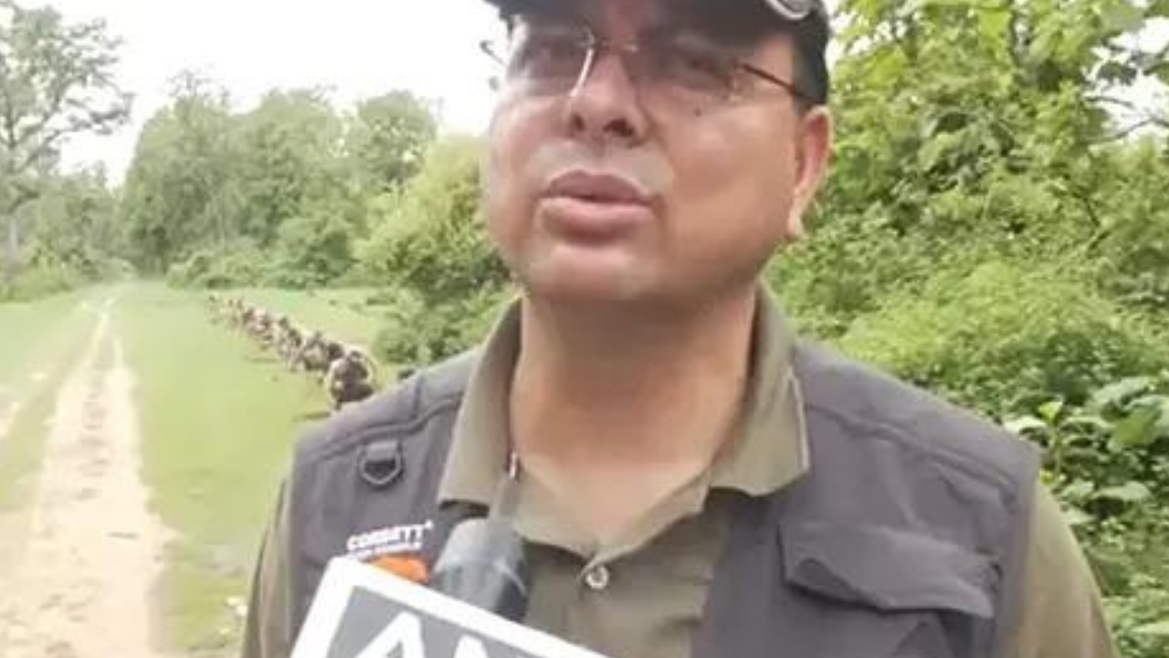 Uttarakhand CM Pushkar Singh Dhami takes jungle safari in Corbett National Park